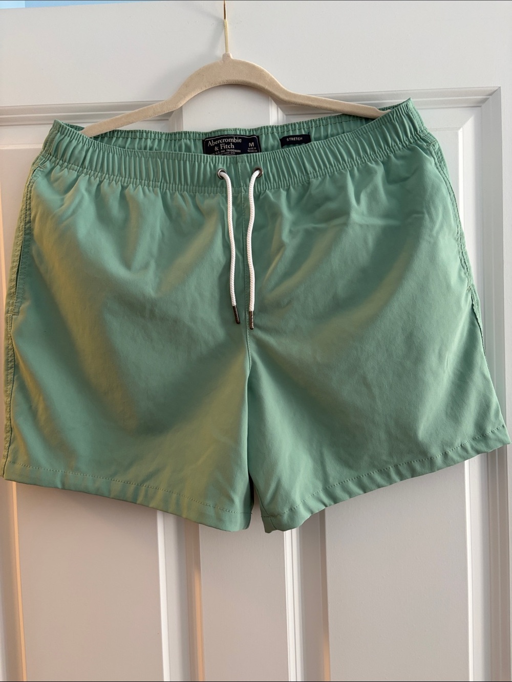 Abercrombie & Fitch Seafoam Green Swim Trunks